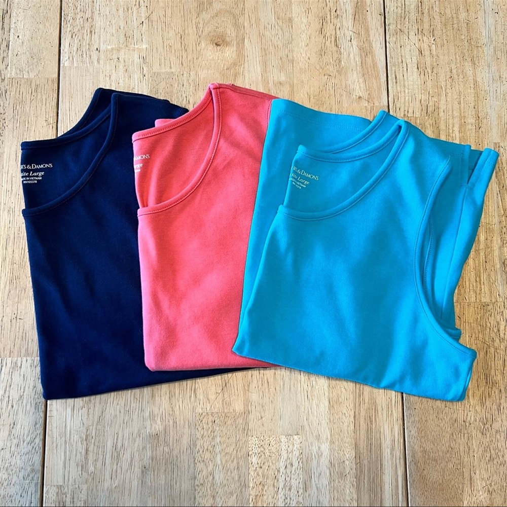 Draper’s & Damon’s Tank Top Bundle ~ Size: Petite Large